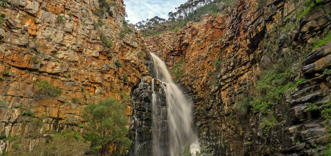 Homepage Discover Parks and Recreation Current: Morialta Conservation Park